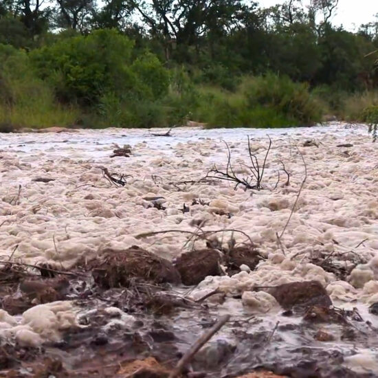 Kruger Floods