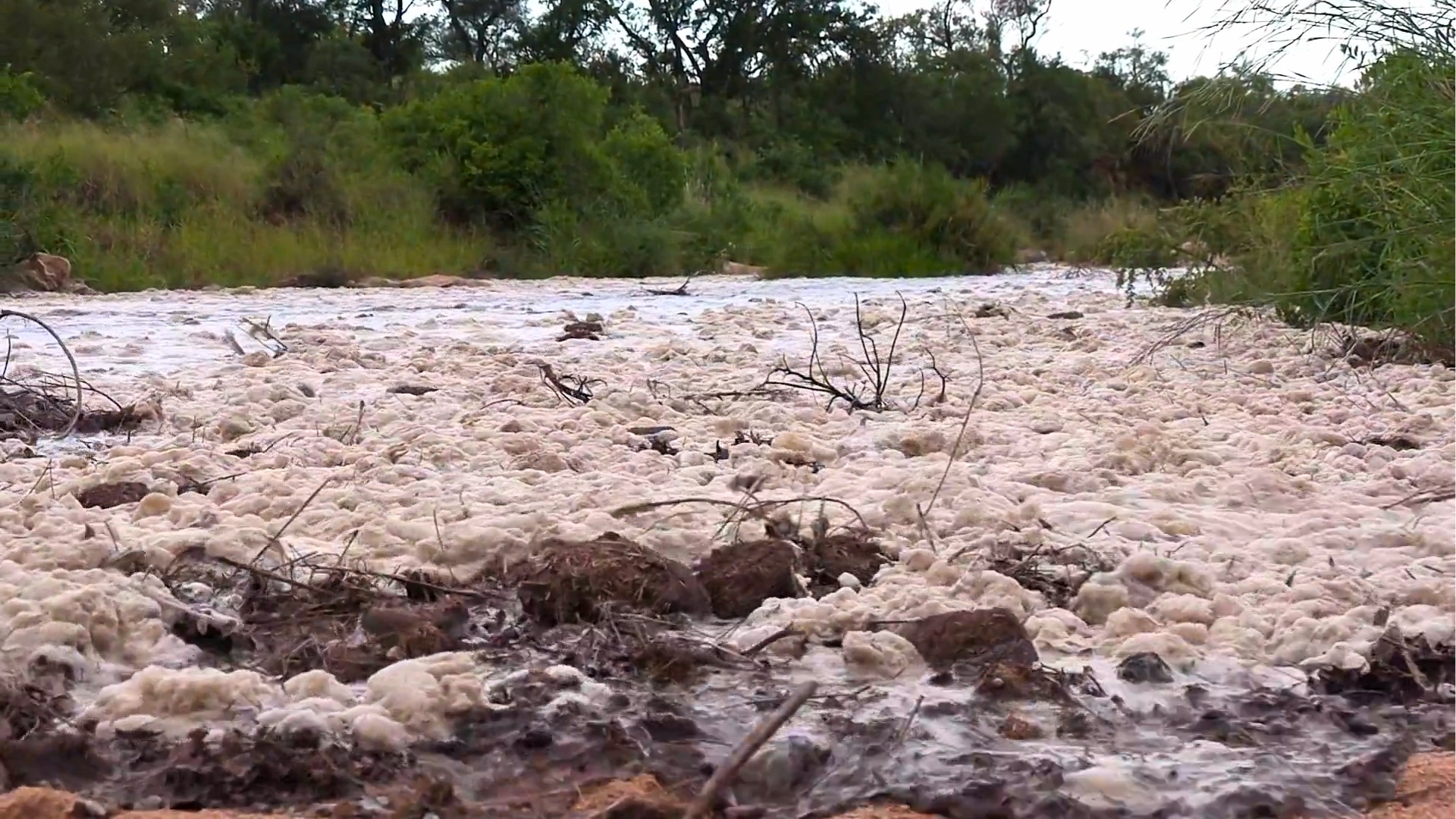 Kruger Floods