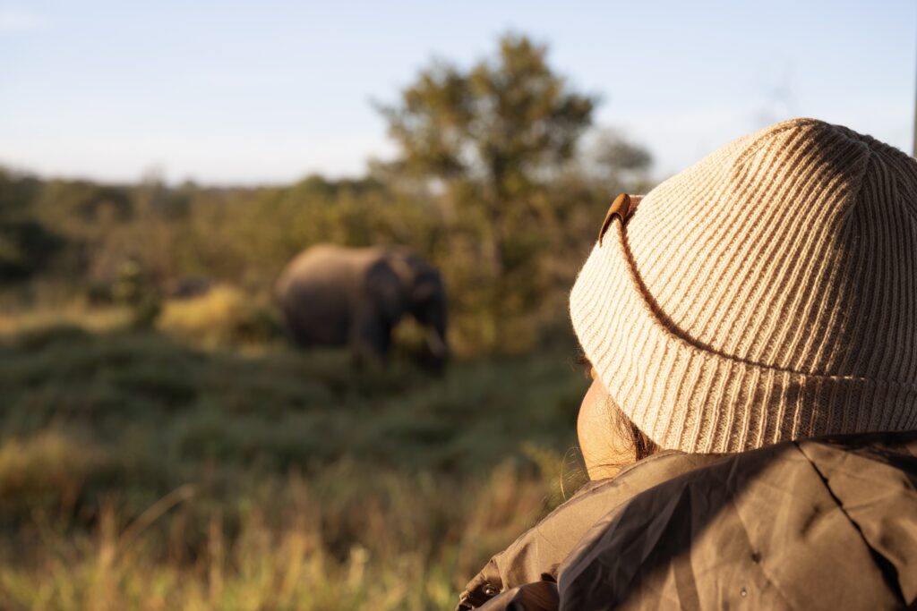 Guests on safari in winter with beanie on viewing an elephant in the kruger national park