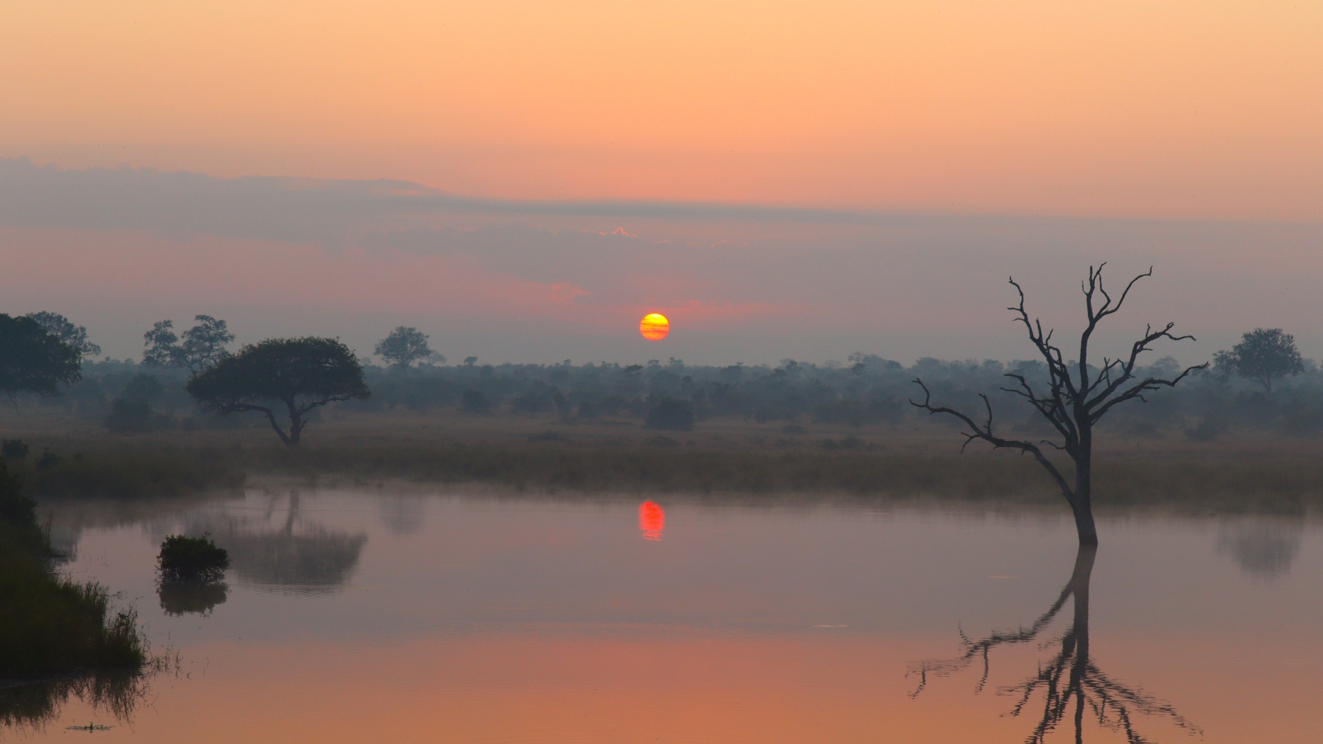 kruger-national-park-spring-game-viewing.jpg